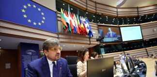 Automotive, Guidesi al Ppe: “Agisca prima che si arrivi a morte del settore”