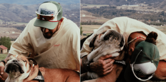 Hamilton, è morto il cane Roscoe: “La decisione più difficile della mia vita”