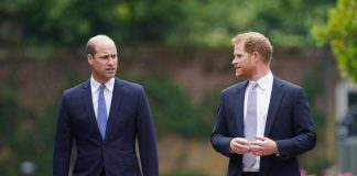 Harry e William divisi da Lady Diana: in arrivo due documentari diversi?