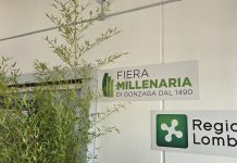 Gonzaga, consiglio comunale straordinario sul piano di rilancio della Fiera Millenaria