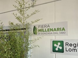 Due nuove fiere per la Millenaria: Milleverde e il Villaggio di Natale