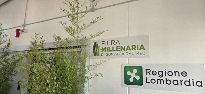 inaugurazione fiera millenaria 2025 (7)