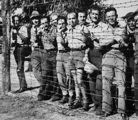Suzzara approva l’odg per la medaglia d’onore ai deportati nei gulag sovietici