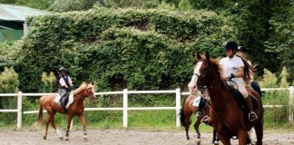 Milano, abusi su allieve minorenni: arrestato istruttore di equitazione
