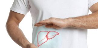 Steatosi epatica, studio dimostra efficacia nutraceutico con alghe brune