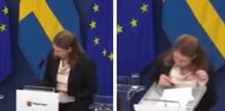 Ministra della Salute svedese Elisabet Lann sviene in conferenza stampa – Il video