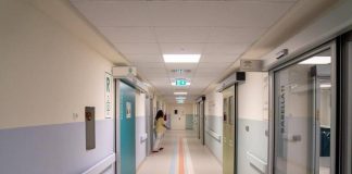 Fungo killer negli ospedali europei, l’alert Ecdc: Italia fra Paesi più colpiti