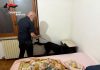 Operazione con cani antidroga a Ostiglia: arrestato un 47enne, sequestrati cocaina, hashish e contanti