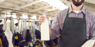Agricoltura, Ismea: filiera lattiero casearia cresce e si rafforza sui mercati esteri