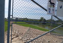 Furto di caprette tibetane a Correggio Micheli: colpita l’azienda di Paolo Costa