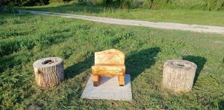 Rivarolo Mantovano, sedute rustiche e fioriere nate da un vecchio pioppo