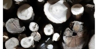 Rivarolo, a Palazzo del Bue il progetto di Mail Art sul tema del silenzio