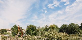 Bosco abbattuto per costruire un supermercato a Te Brunetti, polemiche sui social