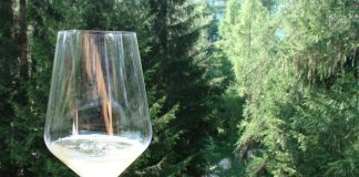 Nel turismo enogastronomico sempre più richiesto il product manager