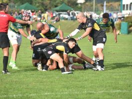 Rugby Viadana non vuole fermarsi: domani arrivano i Lyons Piacenza