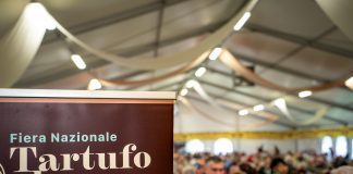 Fiera Nazionale del Tartufo Bianco: 16mila piatti e 30 kg di tartufo serviti