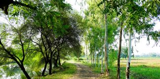 Gal Terre del Po 2.0: al via un nuovo bando a sostegno dell’ambiente