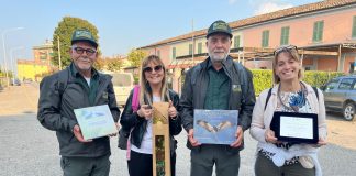 Concorso regionale sul tema del territorio: premiata la classe 4ªA della primaria di Buscoldo