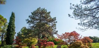 Festival d’Autunno al Parco Giardino Sigurtà: tra foliage, fioriture e magia