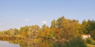 Un sabato dedicato alla natura per ripulire la Palude del Busatello