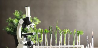 Via libera del Senato alle TEA, Beduschi: “Lombardia pronta a fare la sua parte”