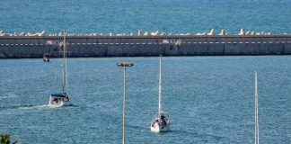 Flotilla, 46 italiani fermati da Israele. Dal carcere all’espulsione, cosa succede