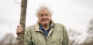 David Attenborough da record, a 99 anni vince il Daytime Emmy Award