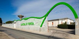 Vino, Cantina di Venosa investe 3,4 mln di euro per l’ampliamento e punta sull’enoturismo