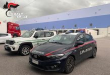 Camionista 39enne travolto dagli scatoloni alla Mantua.it: ricoverato in ospedale