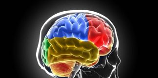 Sistema di ‘lavaggio’ in tilt, ecco cosa succede al cervello senza sonno
