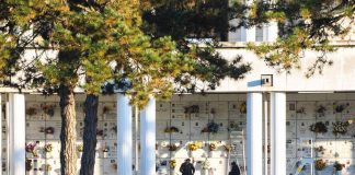Imprese, cresce economia del commiato settemila aziende (+4,9% su 2019)