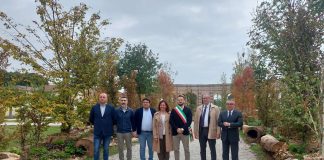 Ricambio generazionale, Mantova rischia di perdere il 40% delle aziende agricole nei prossimi anni