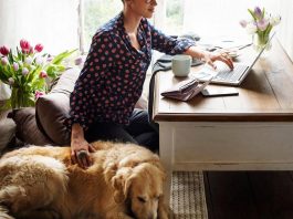 Dalla qualità della vita alla longevità: ecco gli effetti benefici del legame uomo-cane