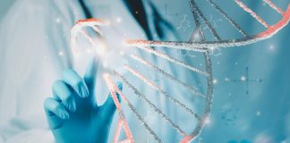 Malattie rare, da oggi rimborsabile la prima terapia di editing genetico