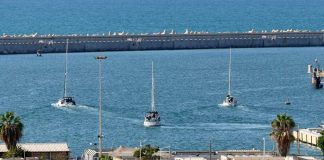Flotilla, liberi i parlamentari italiani fermati in Israele: oggi il rientro