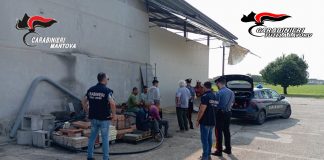 Operazione anti-immigrazione clandestina e caporalato: arrestati imprenditori di Poggio Rusco e Bondeno