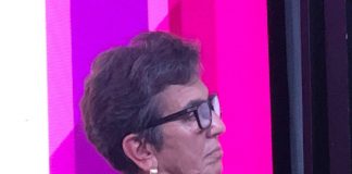 Energia, Bertini (Enea): “Efficienza e rinnovabili devono andare in parallelo”