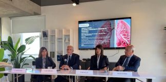 Tumori al polmone Nsclc e mutazione Egfr, rimborsate 2 nuove indicazioni terapia mirata
