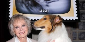Morta June Lockhart, la mamma star di ‘Lassie’ aveva 100 anni