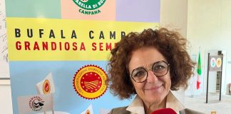 Maffei (Reggia Caserta ): “Turismo, cultura e cibo sono unico racconto di identità”