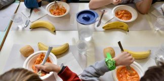 Giornata mondiale Alimentazione, pediatra ’20 buone abitudini per bimbi a tavola’