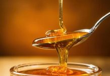 Miele nel mantovano: apicoltori fiduciosi per l’annata 2026 nonostante il ritorno del freddo