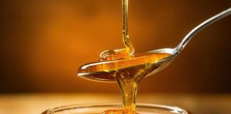 Miele nel mantovano: apicoltori fiduciosi per l’annata 2026 nonostante il ritorno del freddo