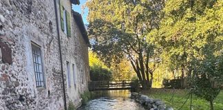 Mulini storici, un viaggio nella memoria del lavoro. Cappellari: “patrimonio da tutelare e valorizzare”