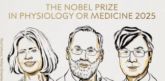Nobel Medicina a Brunkow, Ramsdell e Sakaguchi: hanno scoperto la ‘security’ del sistema immunitario