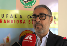 Pantini (Nomisma): “Mozzarella di bufala campana Dop conquista i consumatori Ue”