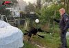 Blitz antidroga: i cani Perla e Harry trovano cocaina, marijuana ed hashish, 3 denunciati