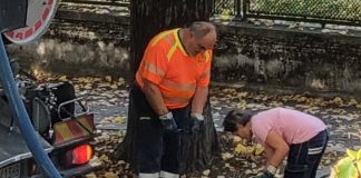 Poggio Rusco, al via la pulizia dei tombini e la raccolta meccanizzata delle foglie