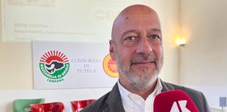 Made in Italy, Saccani (Mozzarella di Bufala Campana Dop): “Innovare per restare tradizione”