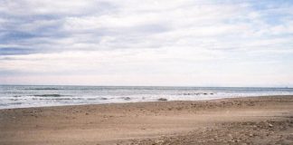 Spiagge a rischio, 1 su 5 può sparire entro il 2050: dove scatta l’allarme